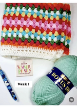 Load image into Gallery viewer, Sirdar summer picnic blanket crochet along yarn kit