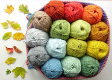 Load image into Gallery viewer, Attic  24 woodland ripple crochet blanket yarn kit stylecraft special DK