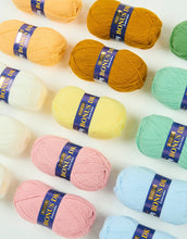 Load image into Gallery viewer, Sirdar Blossom and Buds crochet along crochet blanket yarn bundle with label