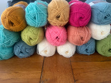 Load image into Gallery viewer, Stylecraft yarn kit for Fridas flowers crochet blanket Primavera colourway