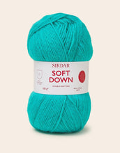 Load image into Gallery viewer, Sirdar statement jumper pattern 10884 complete with soft Down DK yarn size 28" - 54"