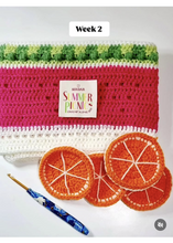 Load image into Gallery viewer, Sirdar summer picnic blanket crochet along yarn kit

