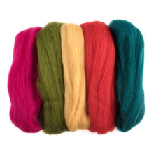 Load image into Gallery viewer, natural roving felting wool 50g assorted brights as2
