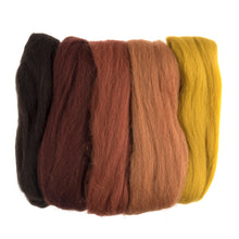 Load image into Gallery viewer, natural roving felting wool 50g assorted Autumn as6
